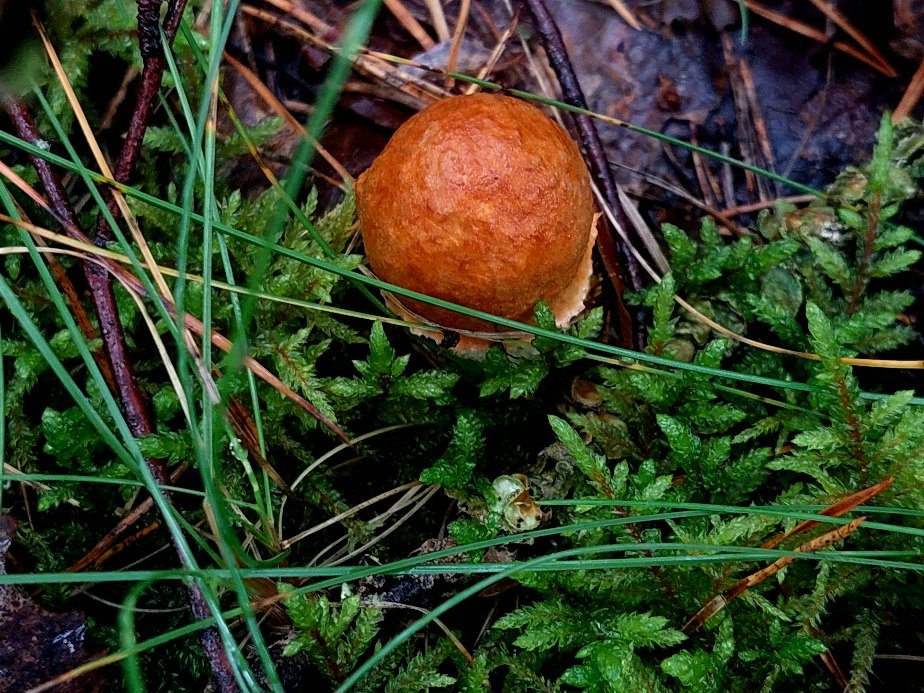 20260825_173629.jpg