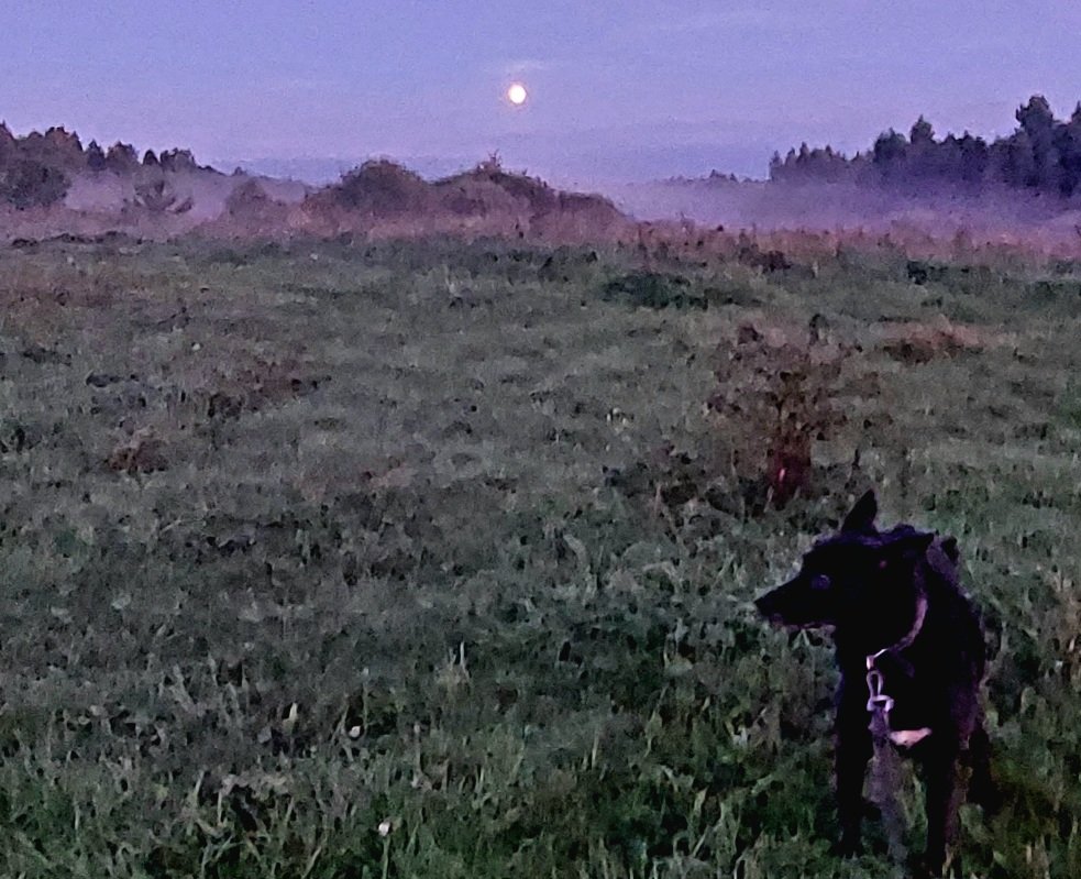 20260826_200827.jpg