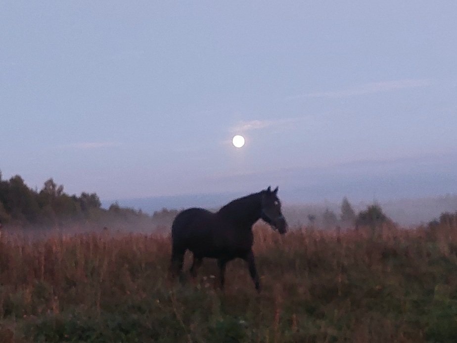 20260826_201035.jpg