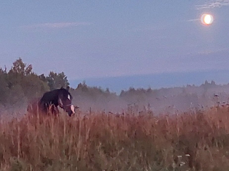 20260826_201041.jpg