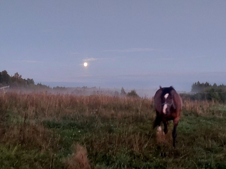 20260826_201051.jpg