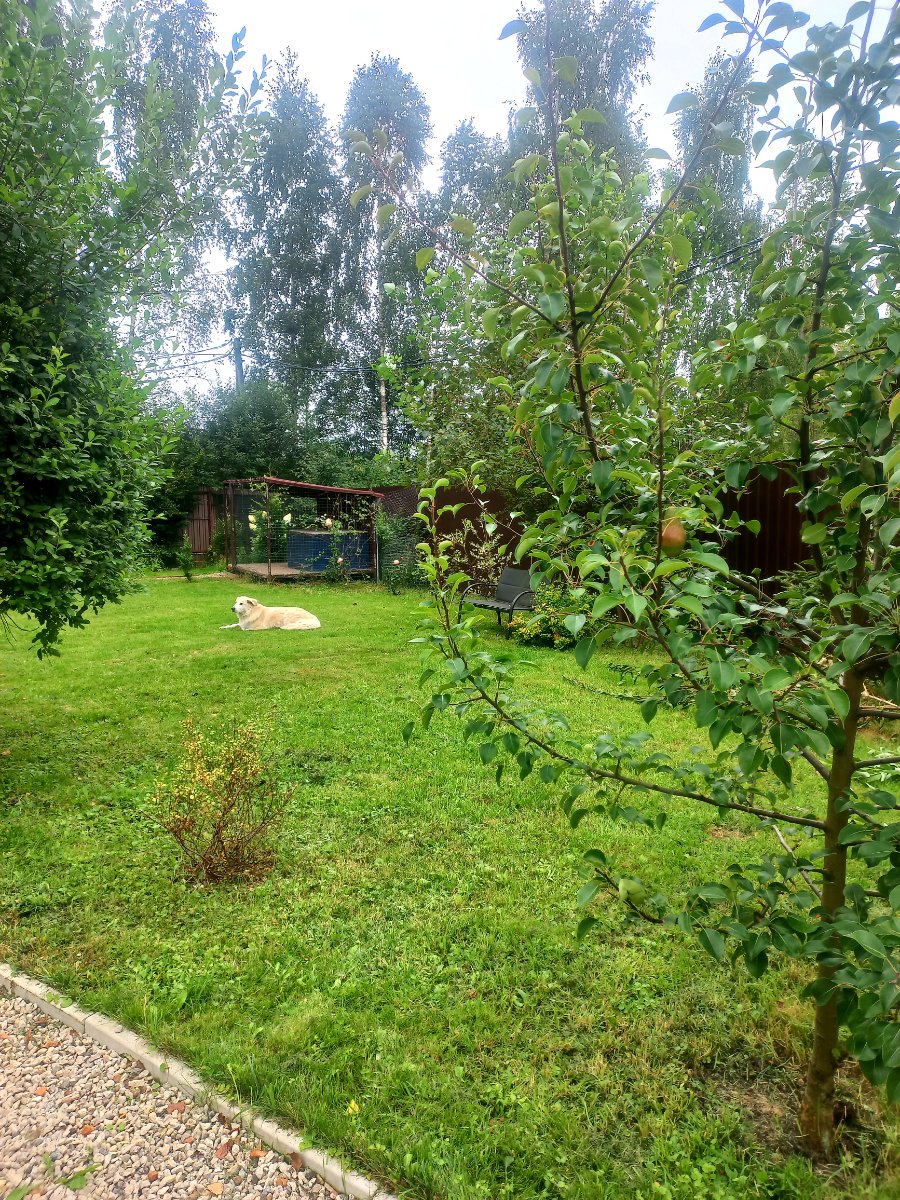 20260827_132344.jpg