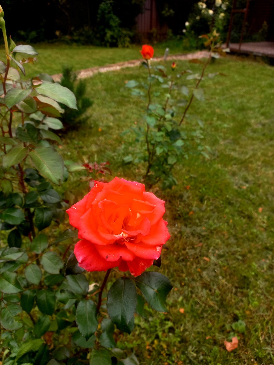 20260827_132406.jpg