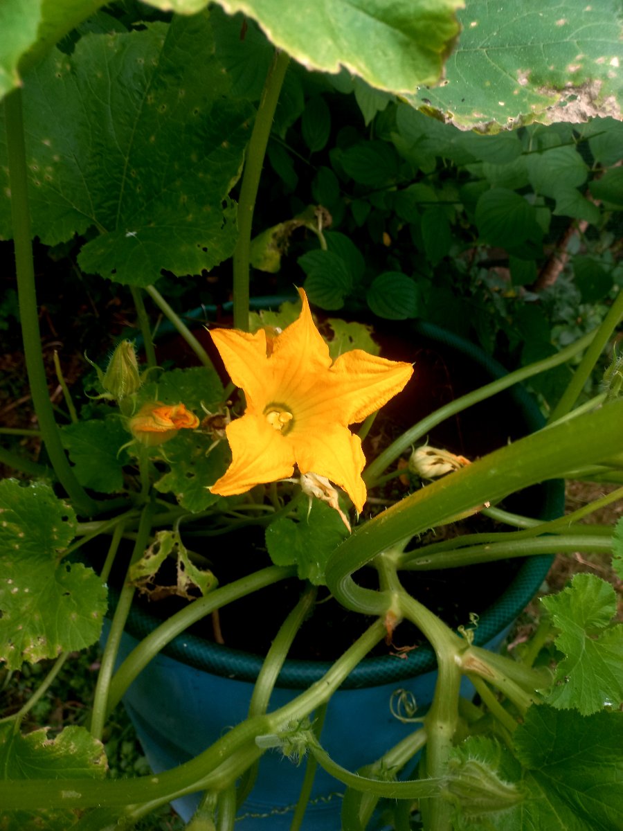20260827_132554.jpg