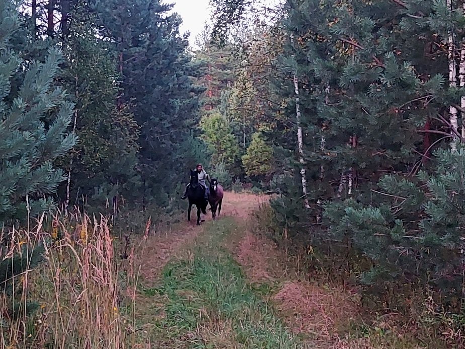 20260827_195238.jpg