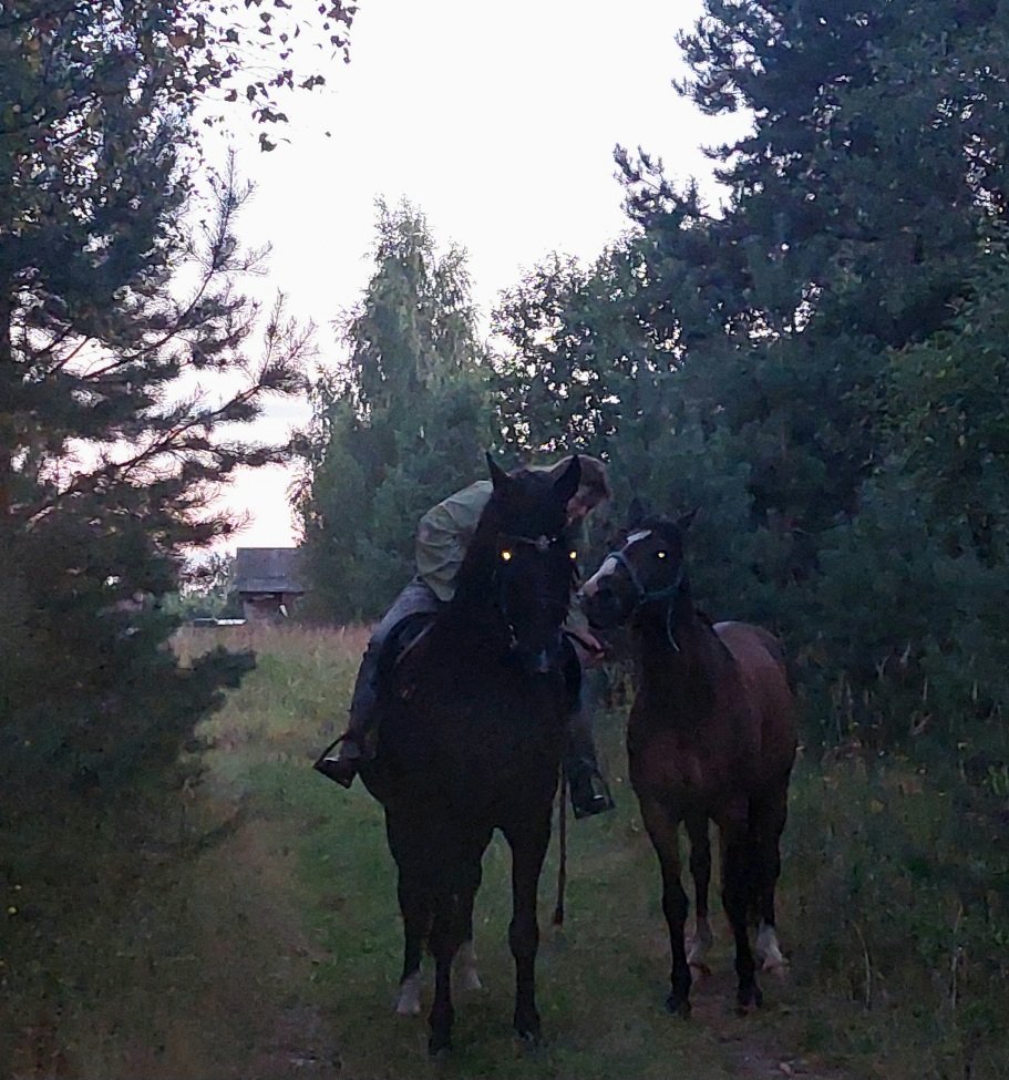 20260827_195345.jpg