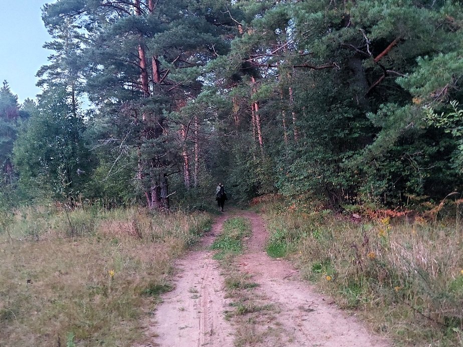 20260827_195731.jpg