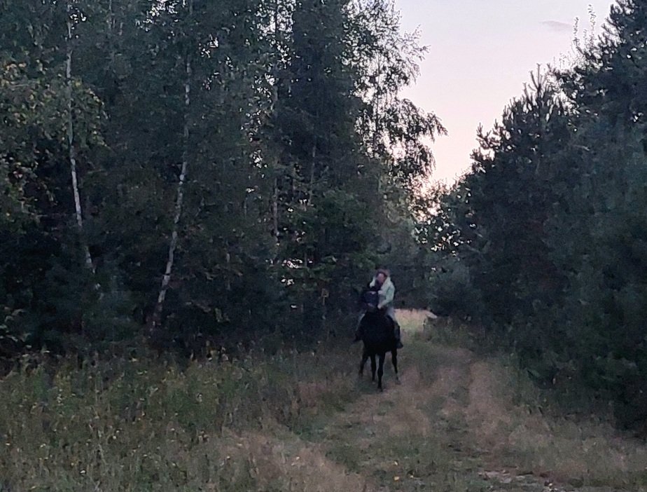 20260827_195854.jpg