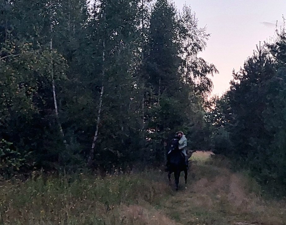 20260827_195855.jpg