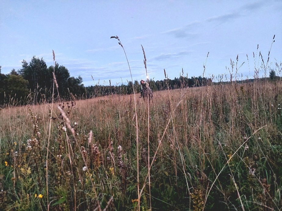 20260827_200446.jpg