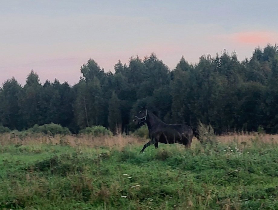 20260828_193240.jpg