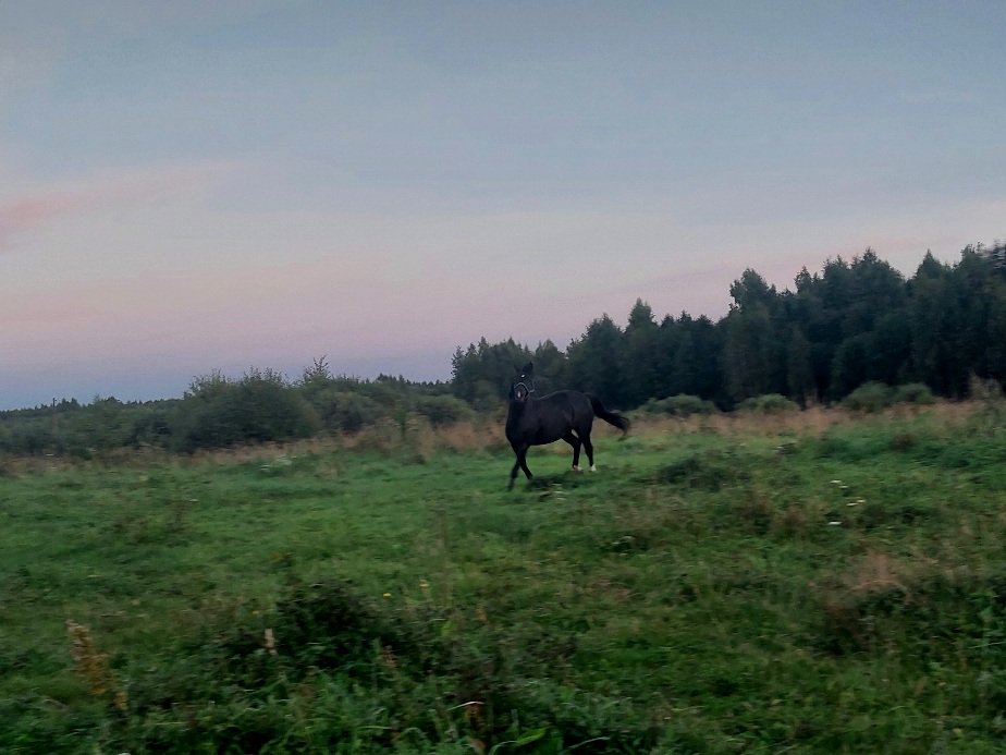 20260828_193241.jpg