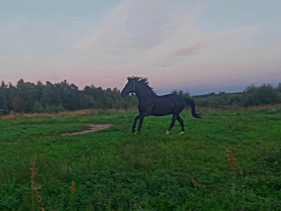 20260828_193243.jpg