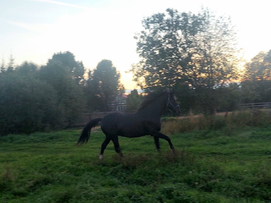 20260828_193305.jpg