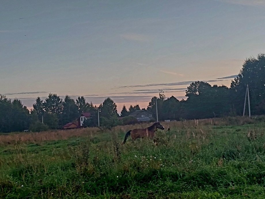 20260828_193531.jpg