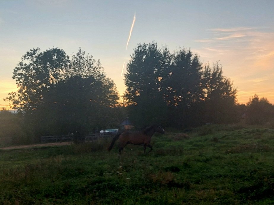20260828_193550.jpg