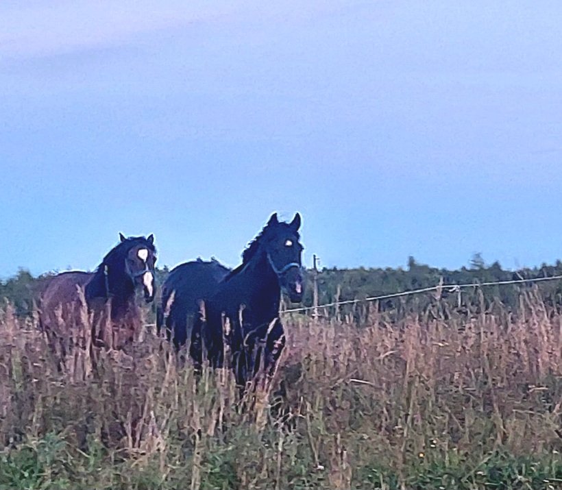 20260828_194035.jpg