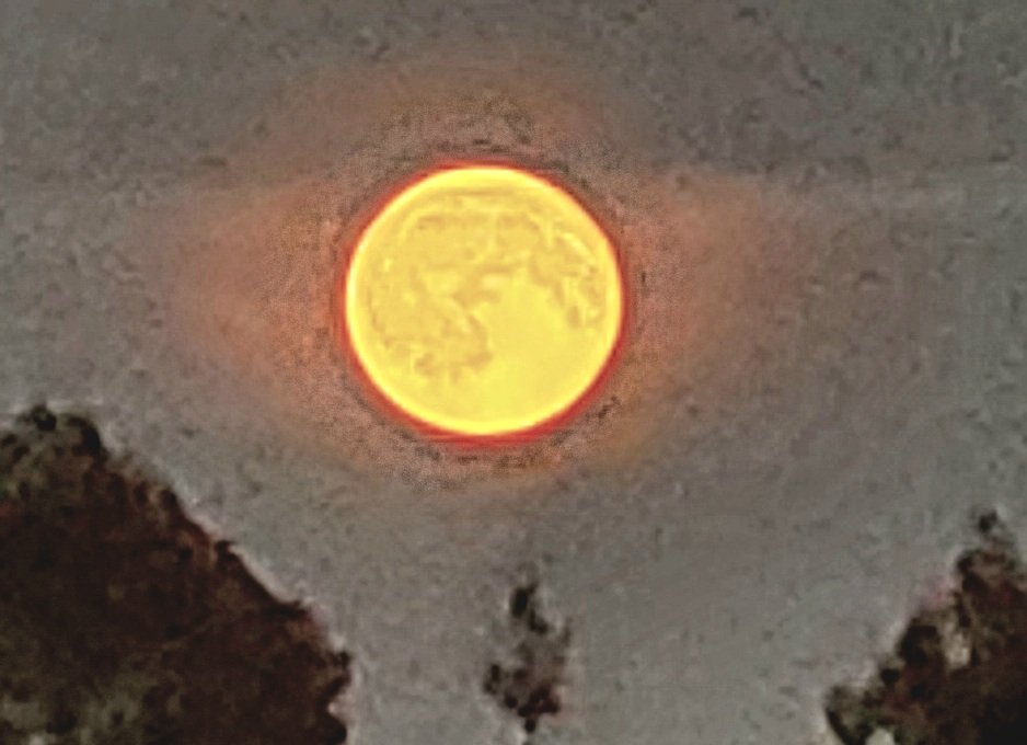20260828_200057.jpg