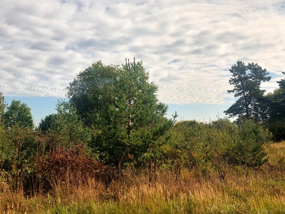 20260829_104254.jpg