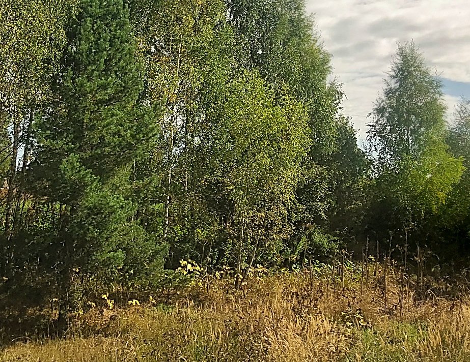 20260829_104317.jpg