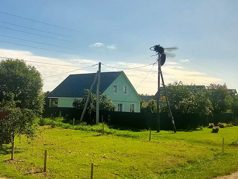 20260829_110515.jpg