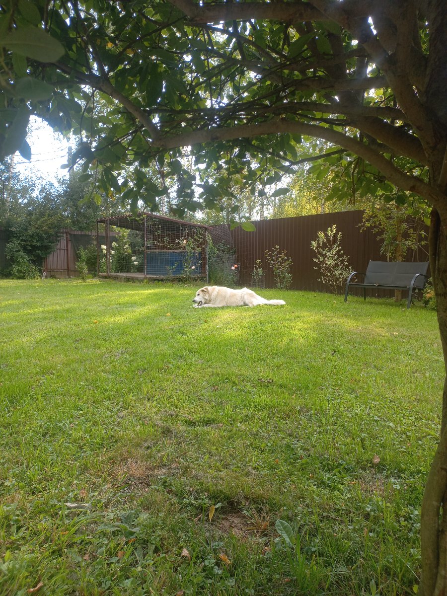 20260829_170133.jpg