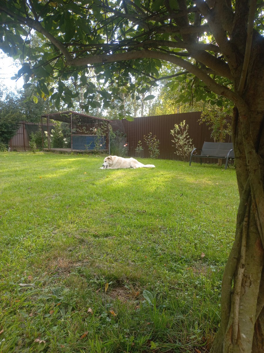 20260829_170141.jpg