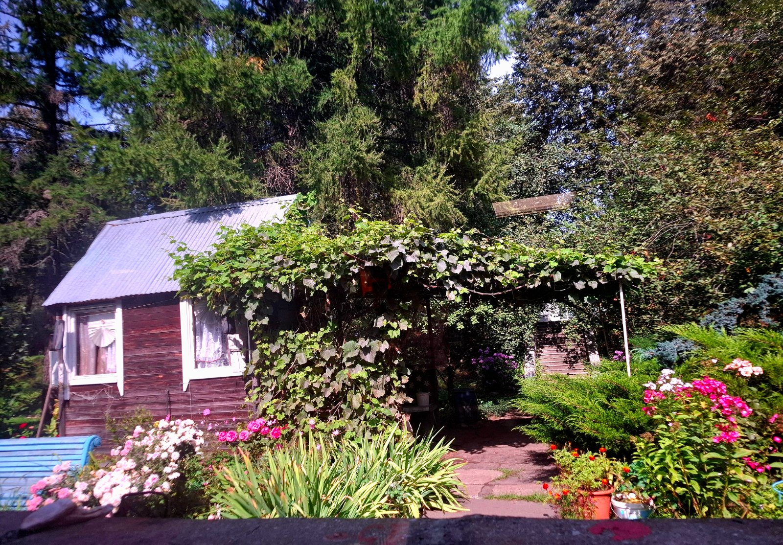 20260830_121951.jpg
