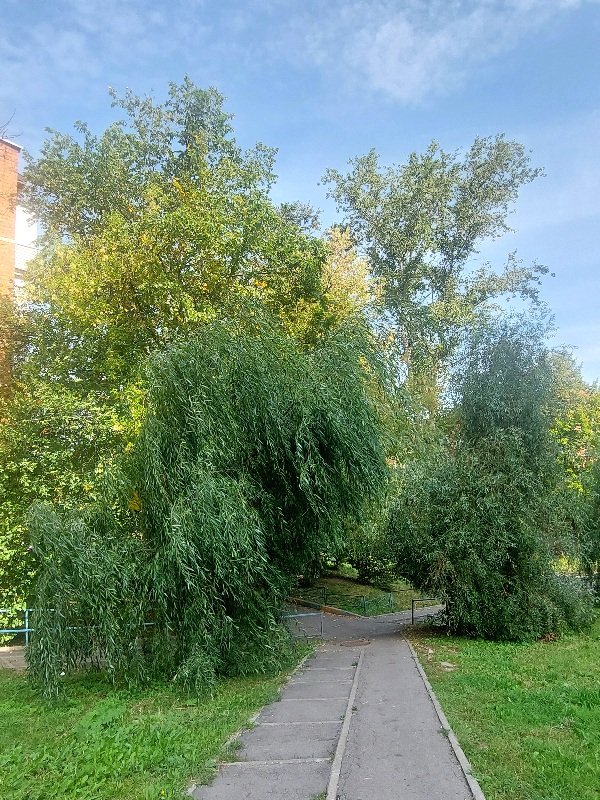 20260830_124229.jpg