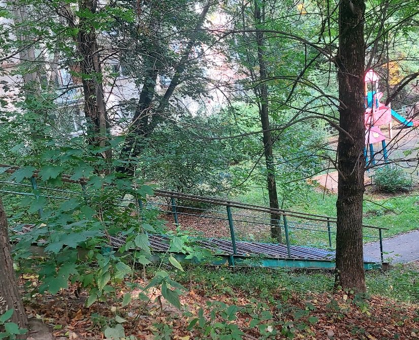 20260830_124723.jpg