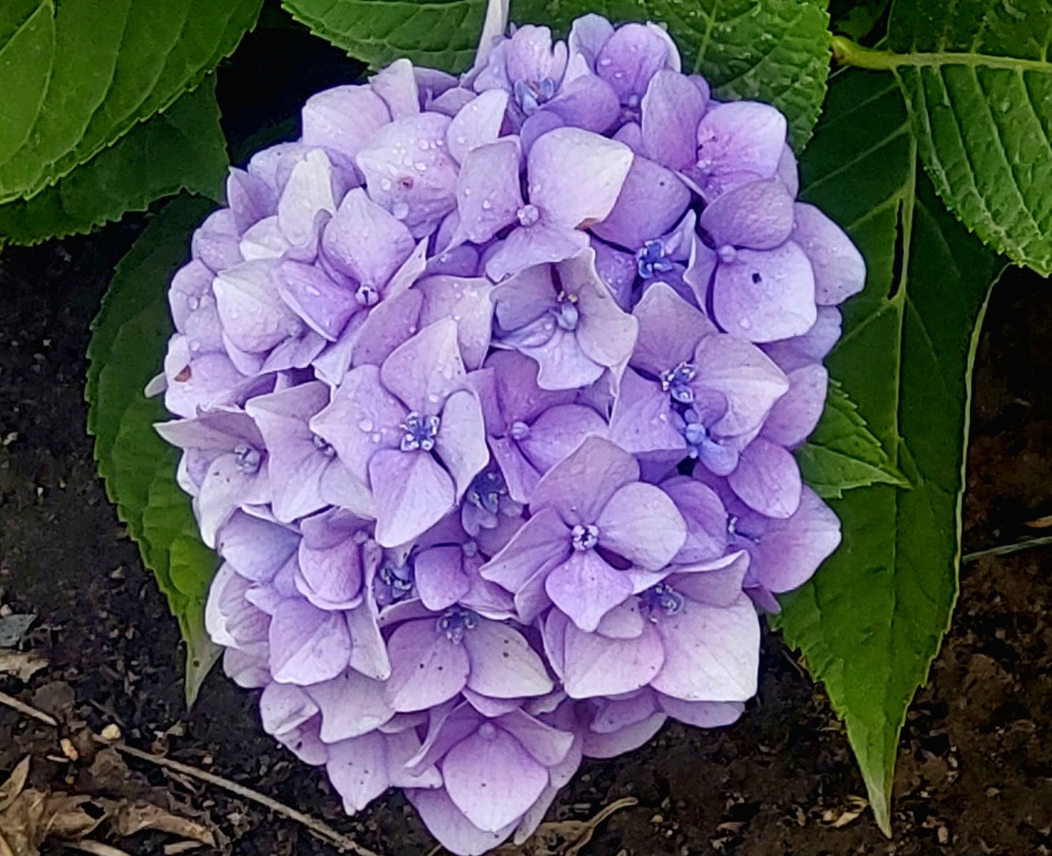 20260831_101541.jpg