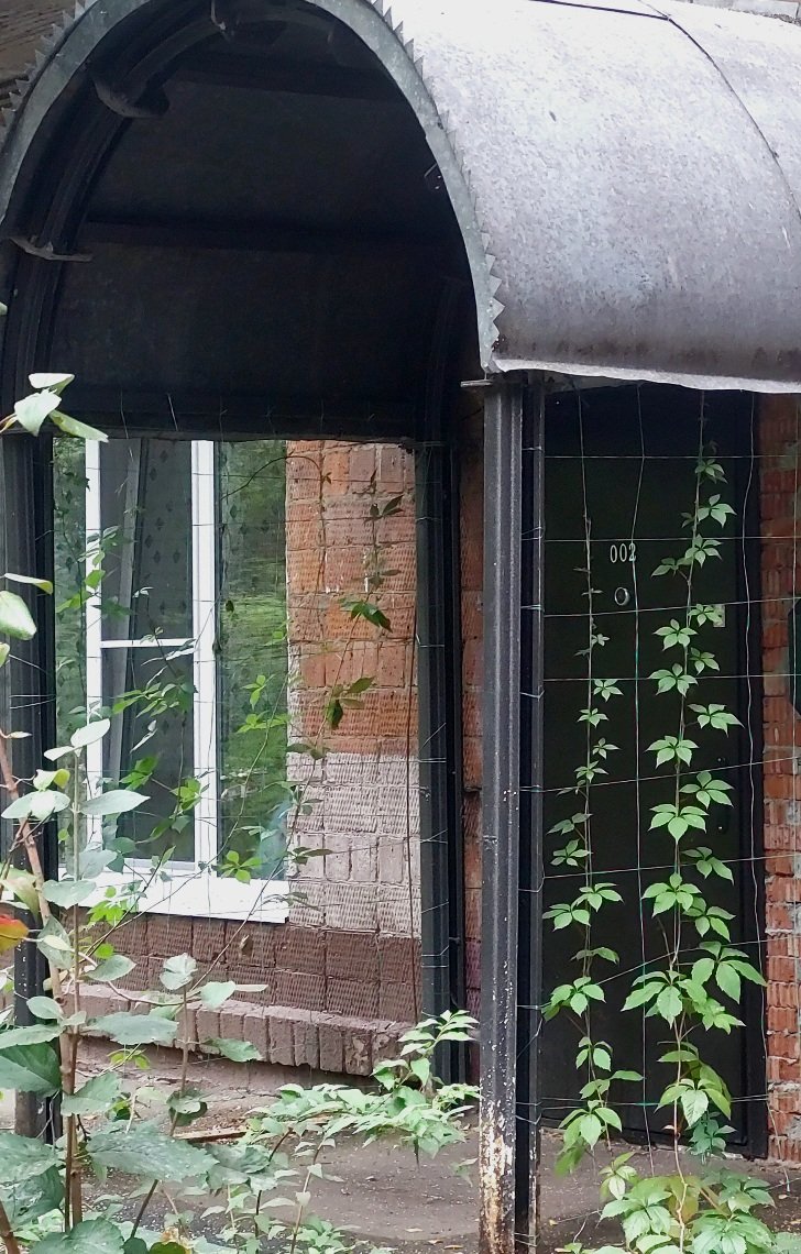 20260831_103306.jpg