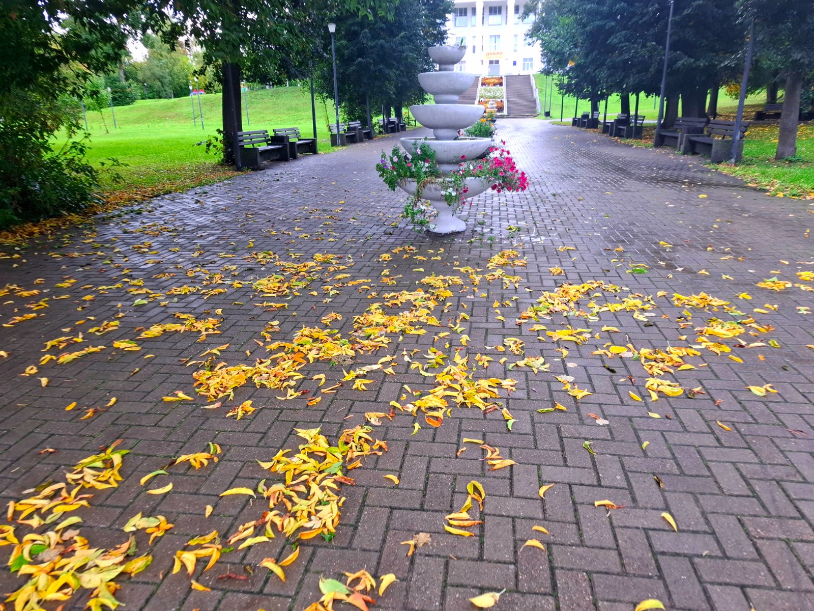 20260902_160400.jpg