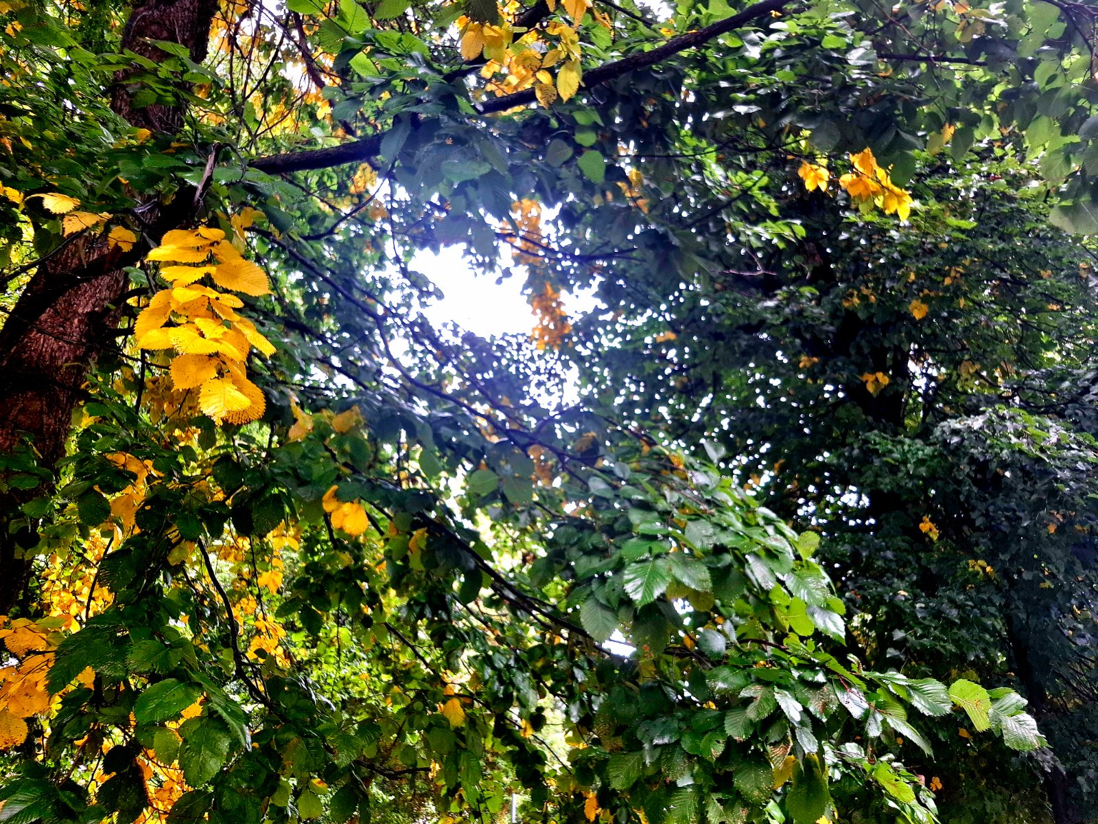 20260902_160624.jpg