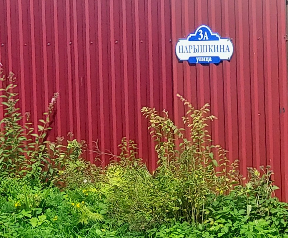 20260904_110414.jpg