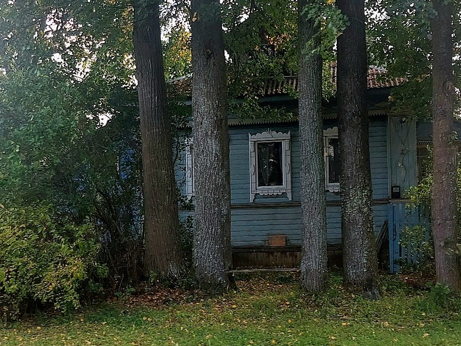 20260904_110525.jpg