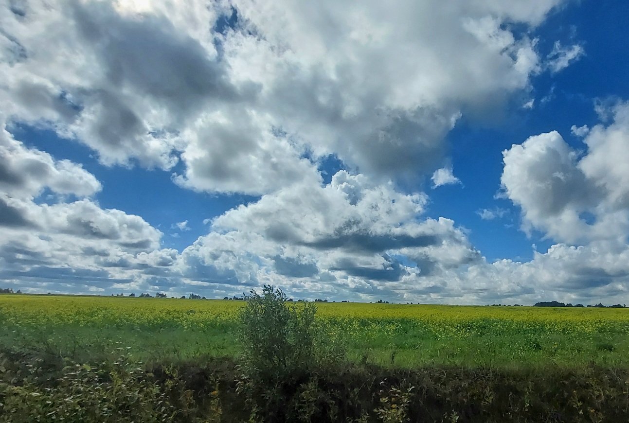 20260904_114514.jpg