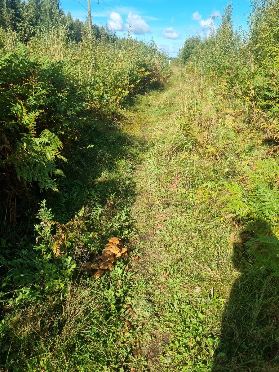 20260905_111449.jpg