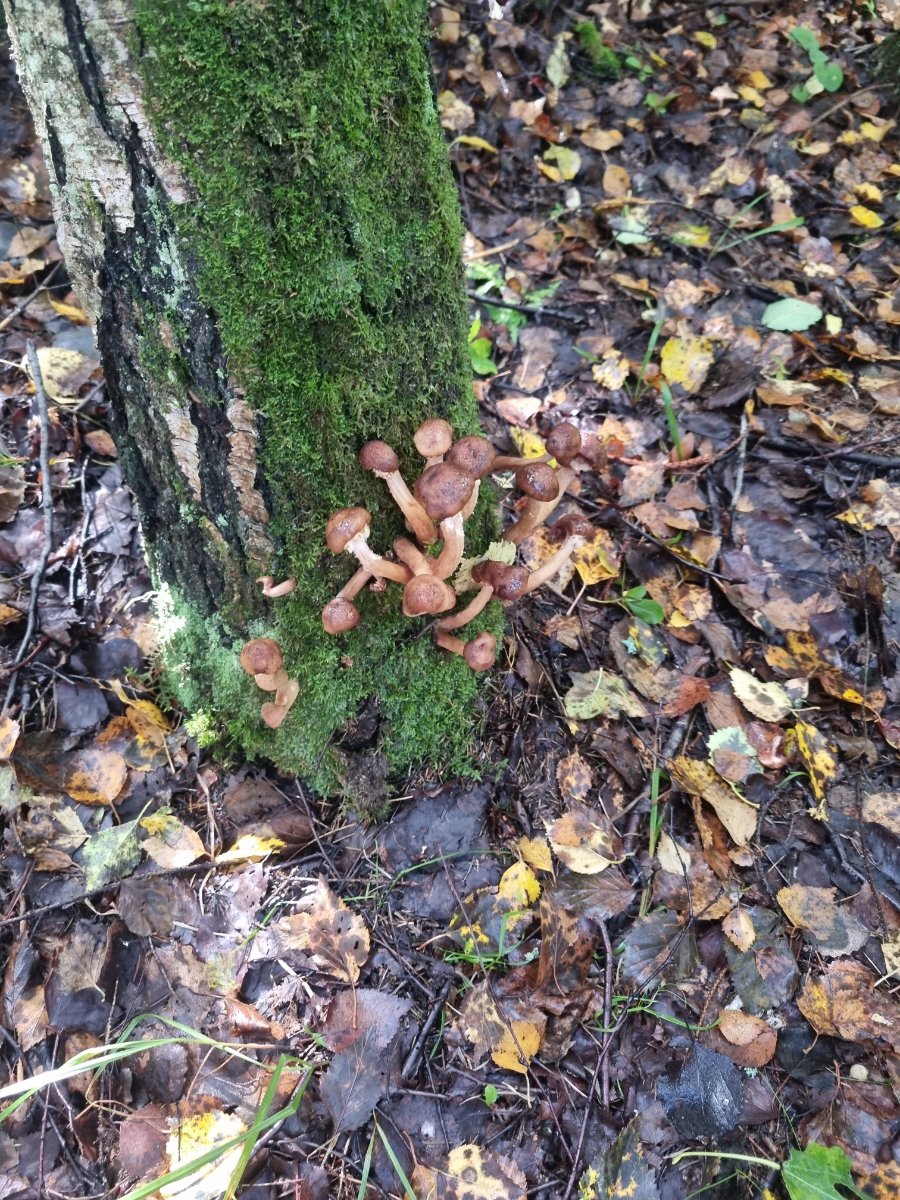 20260905_114015.jpg