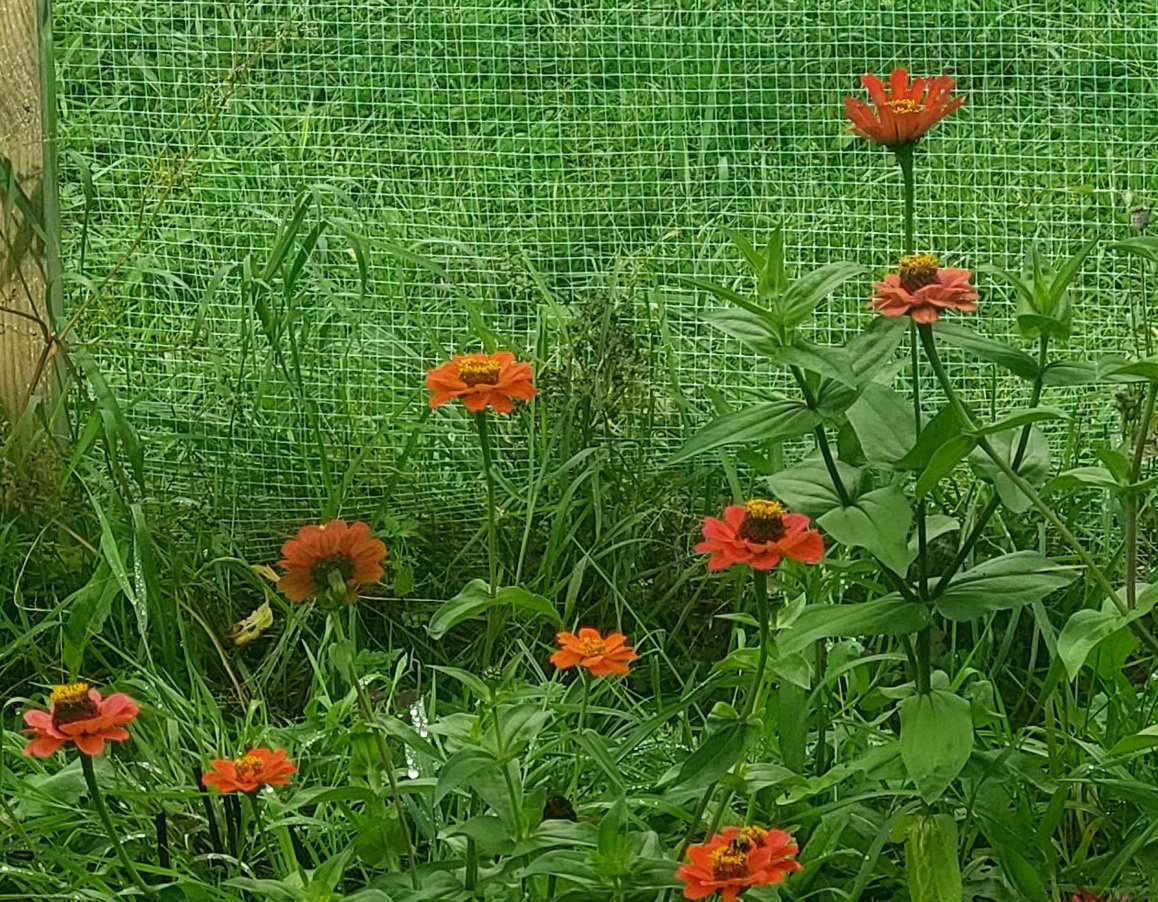 20260906_110920.jpg