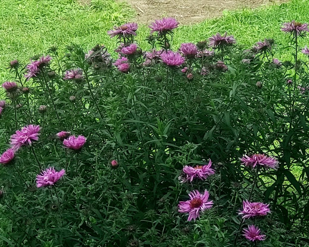 20260906_110955.jpg