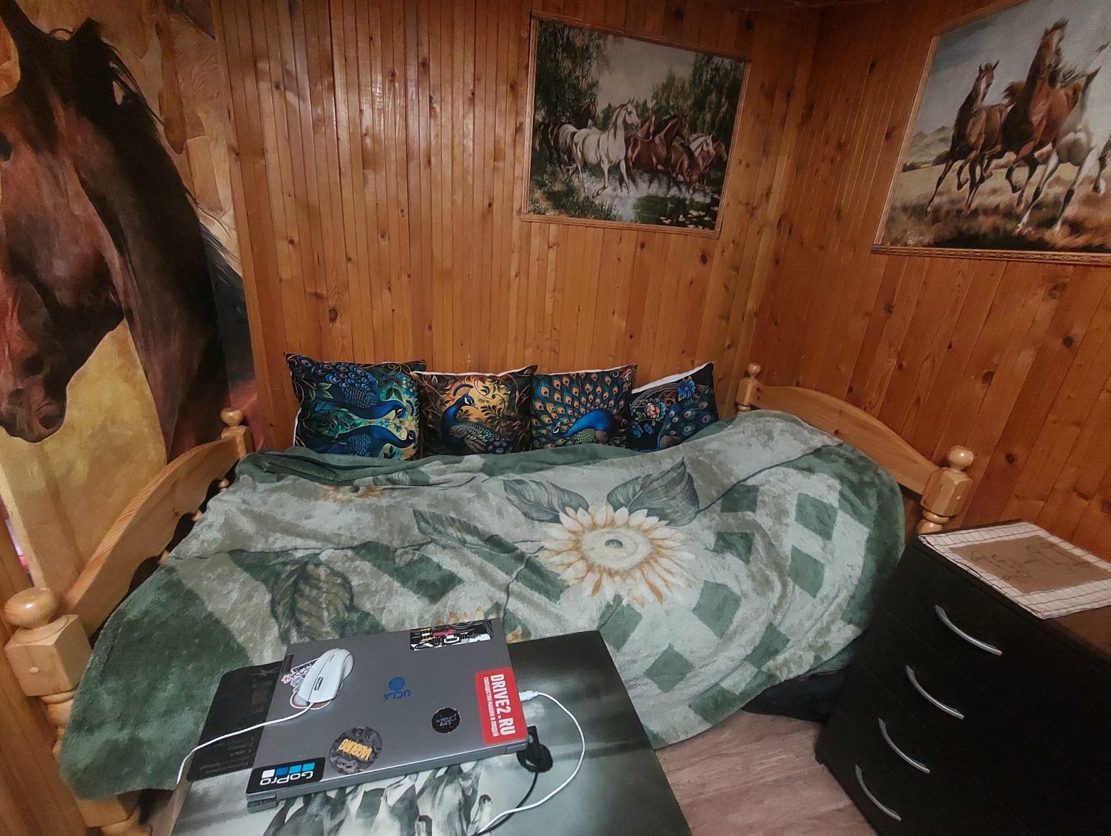 20260906_112043.jpg