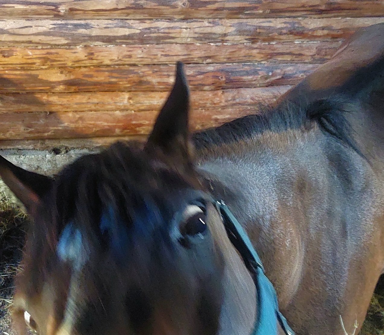 20260906_112153.jpg