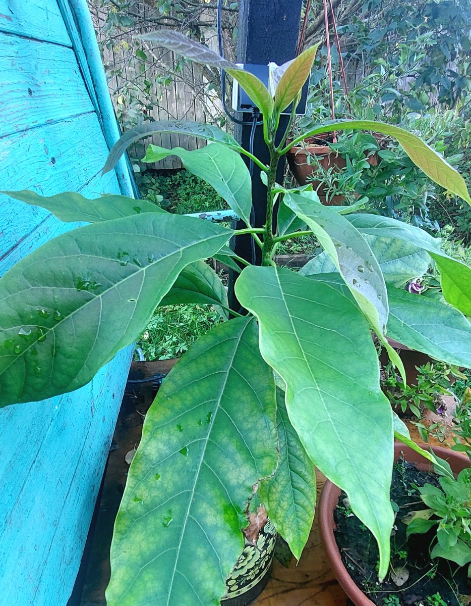 20260906_164512.jpg