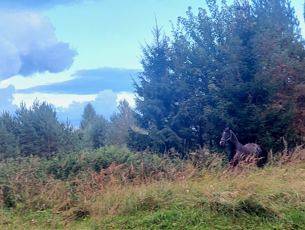 20260906_182901.jpg