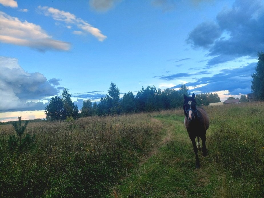 20260906_183815.jpg