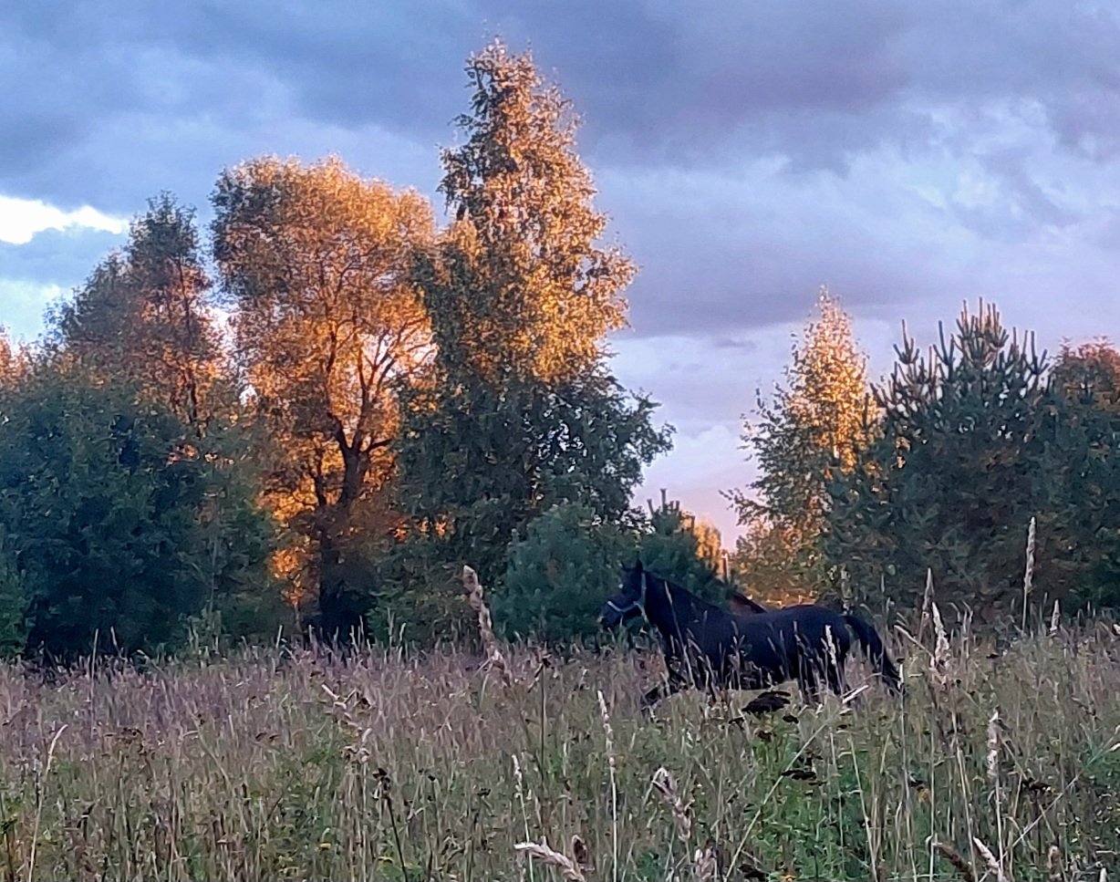 20260906_184854.jpg