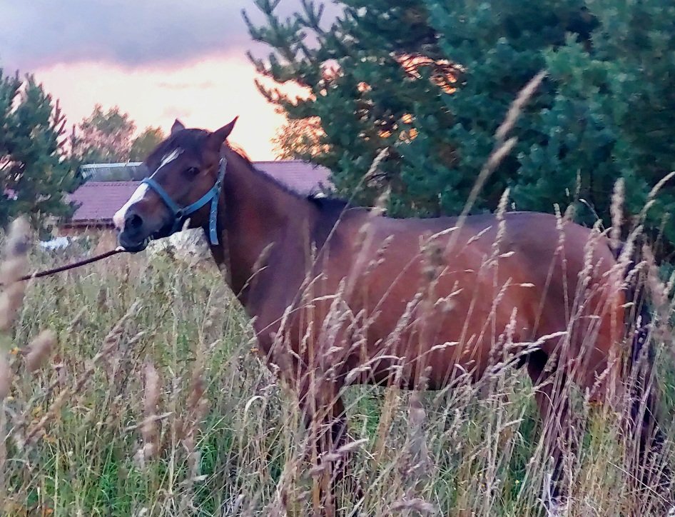20260906_185340.jpg