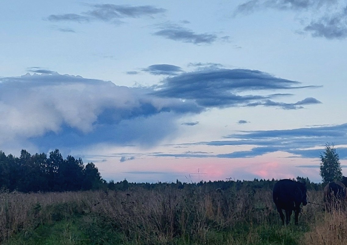 20260906_190000.jpg
