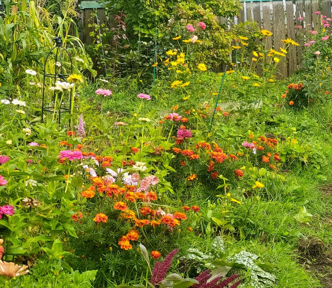 20260907_164521.jpg